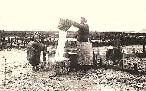 les trieuses d'huîtres