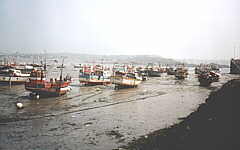 Erquy : le port &agrave; mar&eacute;e basse