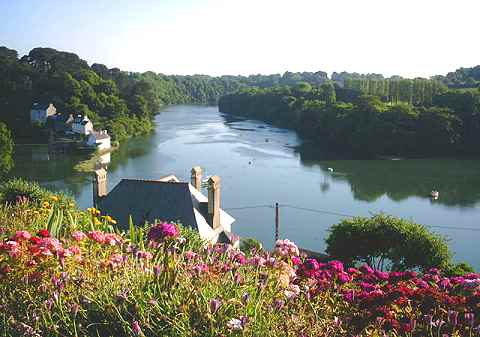 les rives du Guindy